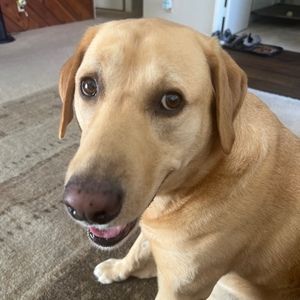 Meet your Posher, Yvonne